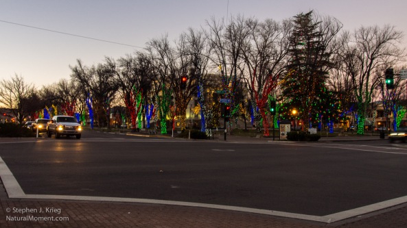 Christmas lights, morning, Courthouse Square, Prescott, Arizona.